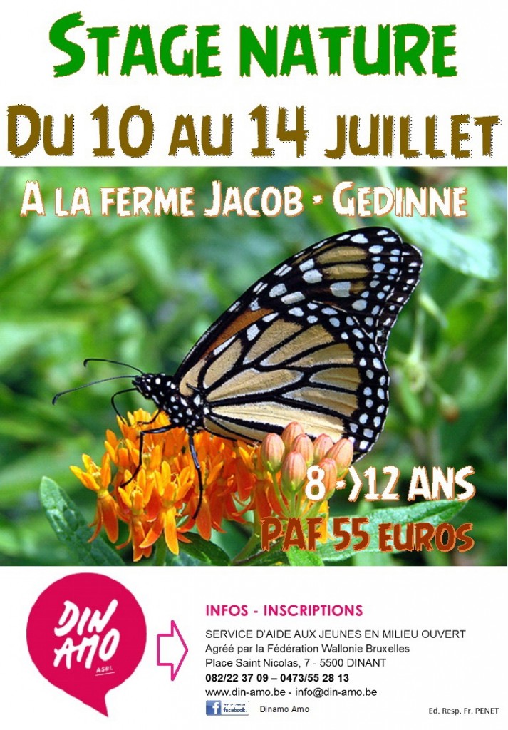 stage nature 2017 papillon