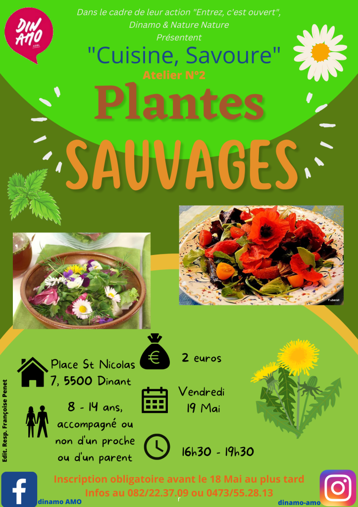 Plantes sauvages 19 05 2023