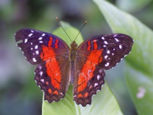 Lire la suite à propos de l’article Stage Nature 2019