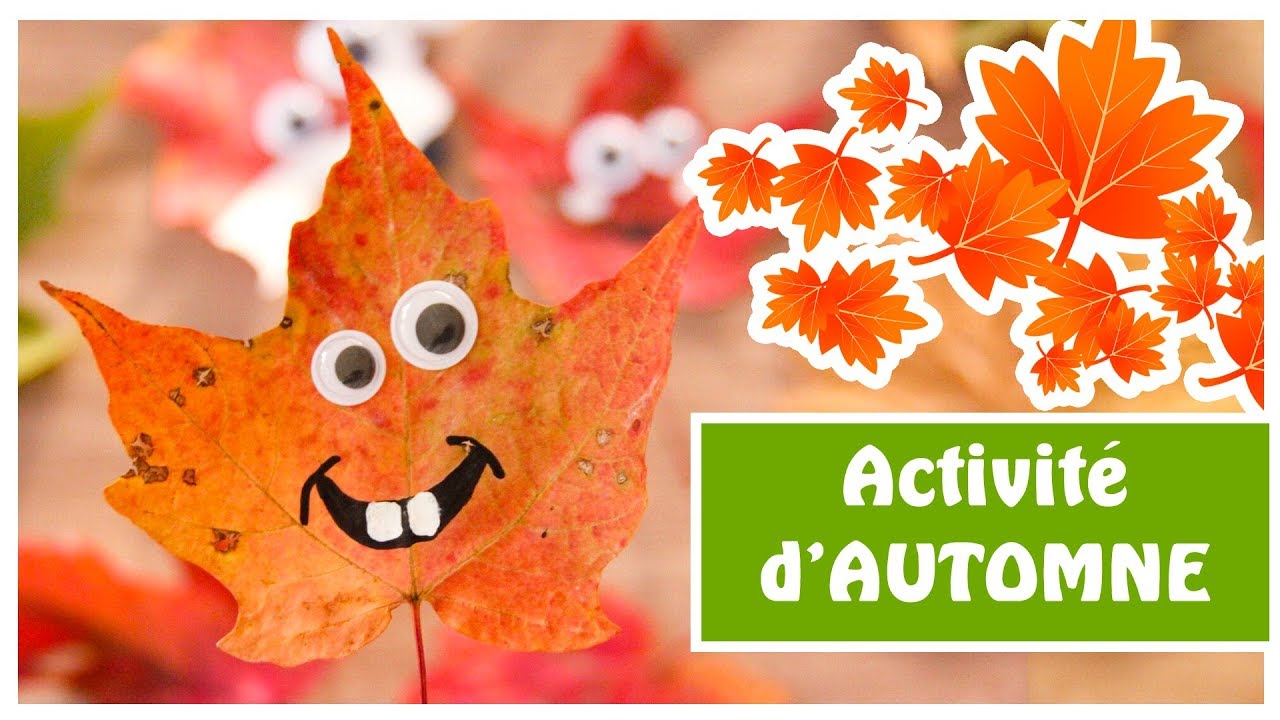 Lire la suite à propos de l’article Programme d’activités durant les congés d’automne !
